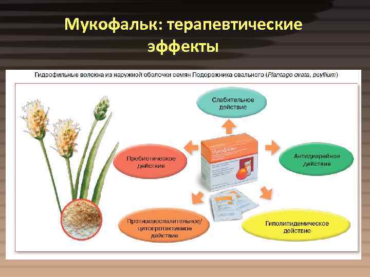 Мукофальк: терапевтические эффекты 
