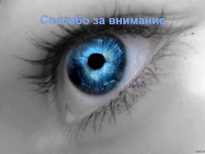 Спасибо за внимание 