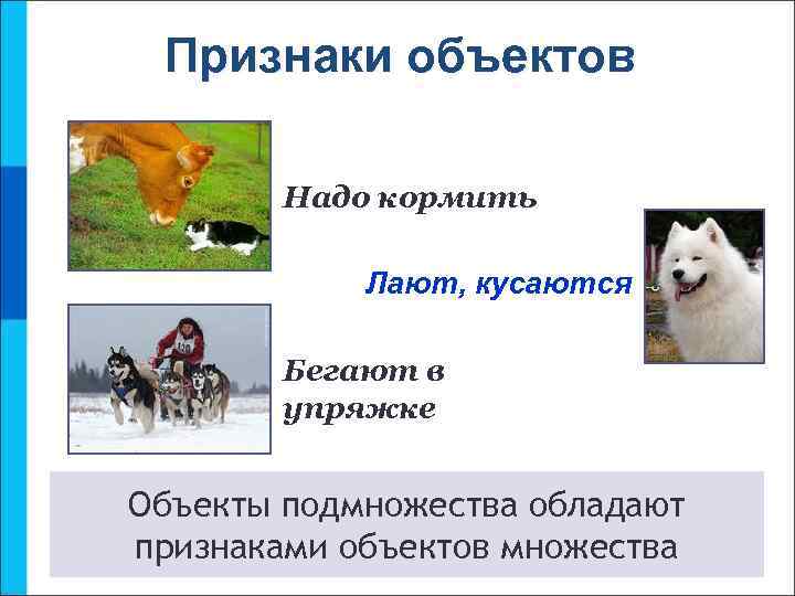 Признаки объектов Надо кормить Лают, кусаются Бегают в упряжке Объекты подмножества обладают признаками объектов