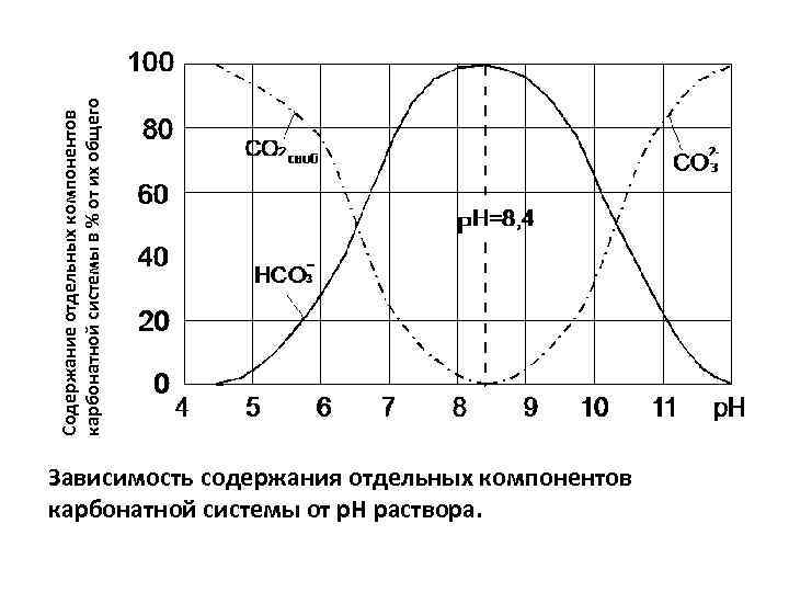 В зависимости от содержания. Карбонатное равновесие от РН. Зависимость оглавление. Распределительная диаграмма карбонатной системы. Зависимость молярности от кислотности.