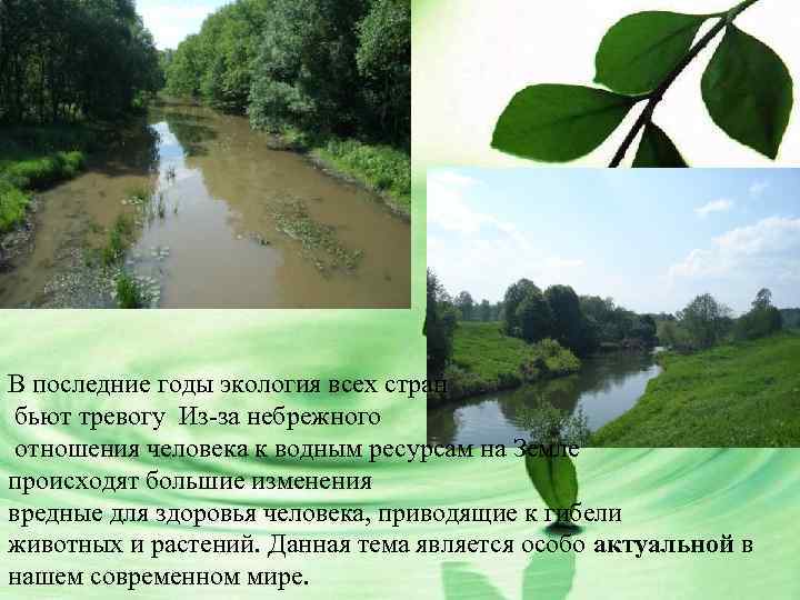 В последние годы экология всех стран бьют тревогу Из-за небрежного отношения человека к водным