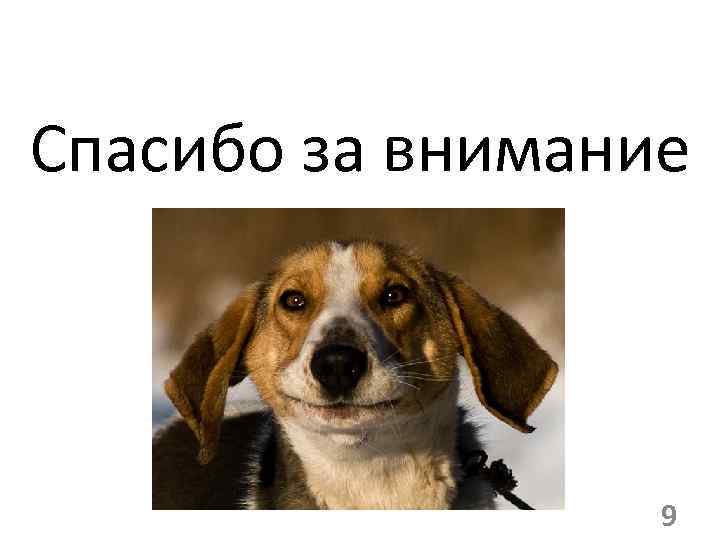 Спасибо за внимание 9 