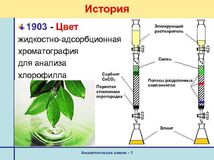 История 1903 - Цвет Элюирующий растворитель жидкостно-адсорбционная хроматография для анализа Сорбент хлорофилла Ca. CO