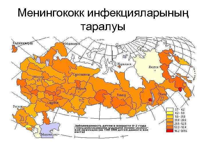 Менингококк инфекцияларының таралуы 