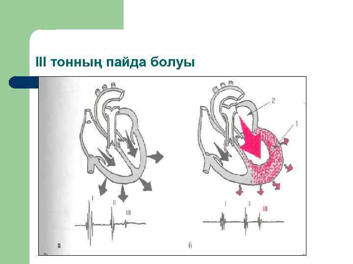ІІІ тонның пайда болуы 