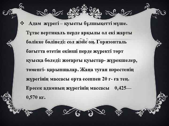 v Адам жүрегі – қуысты бұлшықетті мүше. Тұтас вертикаль перде арқылы ол екі жарты