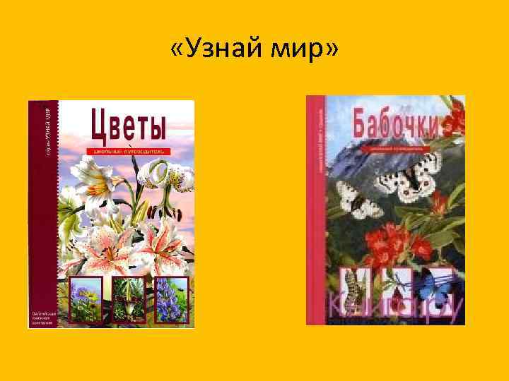  «Узнай мир» 