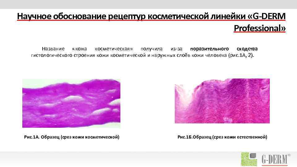 Научное обоснование рецептур косметической линейки «G-DERM Professional» Название «кожа косметическая» получила из-за поразительного сходства