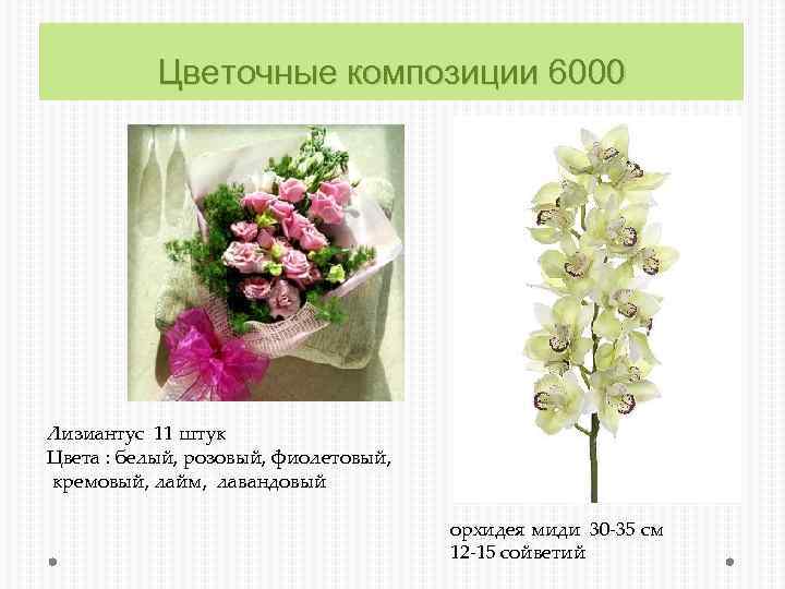 Цветочные композиции 6000 Лизиантус 11 штук Цвета : белый, розовый, фиолетовый, кремовый, лайм, лавандовый