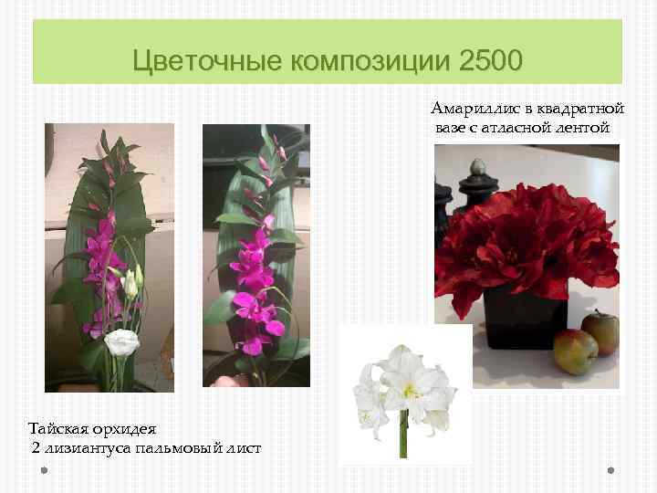 Цветочные композиции 2500 Амариллис в квадратной вазе с атласной лентой Тайская орхидея 2 лизиантуса