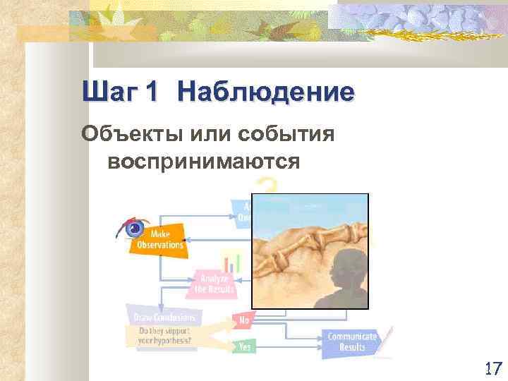 Шаг 1 Наблюдение Объекты или события воспринимаются 17 