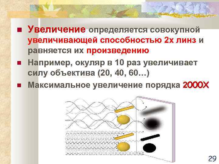  Увеличение определяется совокупной увеличивающей способностью 2 х линз и равняется их произведению Например,