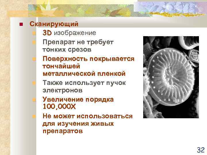  Сканирующий 3 D изображение Препарат не требует тонких срезов Поверхность покрывается тончайшей металлической