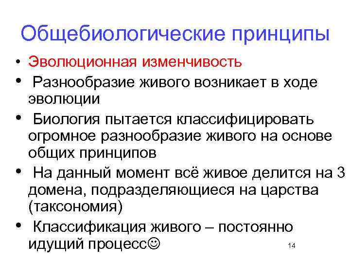 Общебиологические принципы • Эволюционная изменчивость • Разнообразие живого возникает в ходе эволюции • Биология