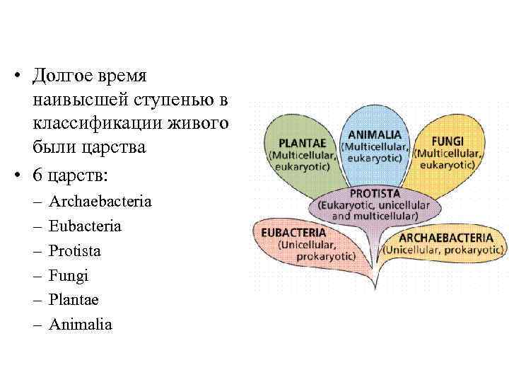  • Долгое время наивысшей ступенью в классификации живого были царства • 6 царств: