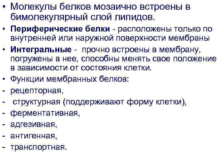  • Молекулы белков мозаично встроены в бимолекулярный слой липидов. • Периферические белки -