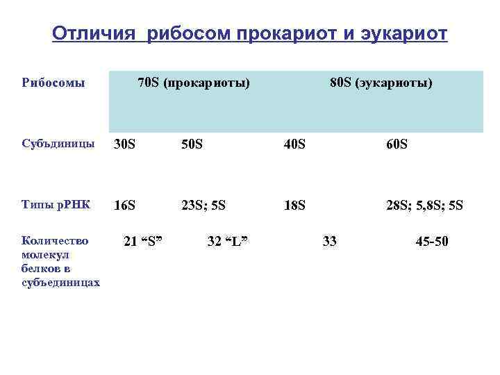 Отличия рибосом прокариот и эукариот Рибосомы 70 S (прокариоты) 80 S (эукариоты) Субъдиницы 30