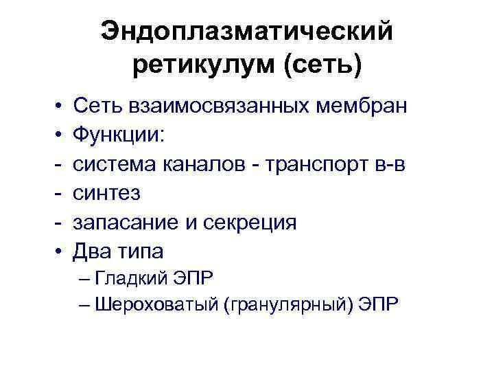 Эндоплазматический ретикулум (сеть) • • • Сеть взаимосвязанных мембран Функции: система каналов - транспорт