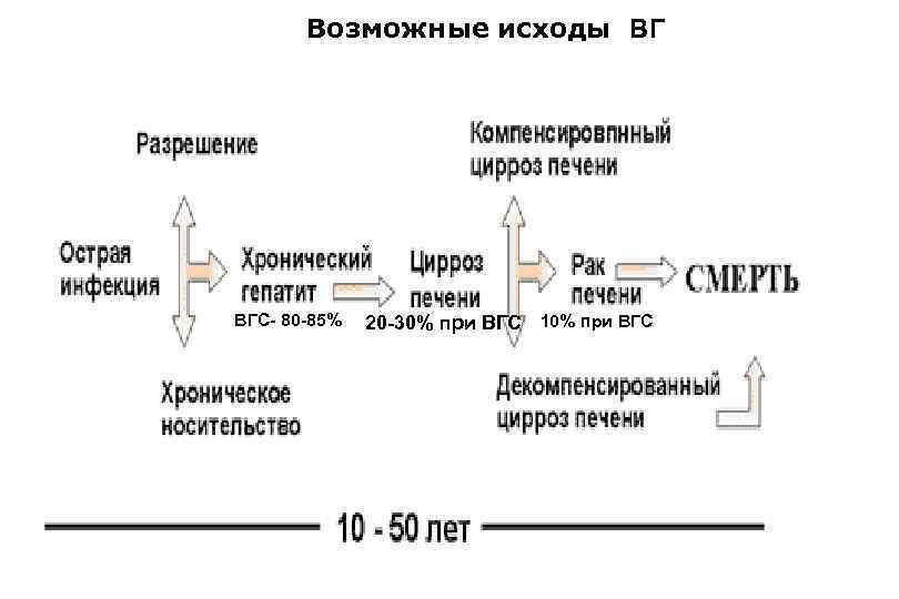Возможные исходы ВГ ВГС- 80 -85% 20 -30% при ВГС 10% при ВГС 
