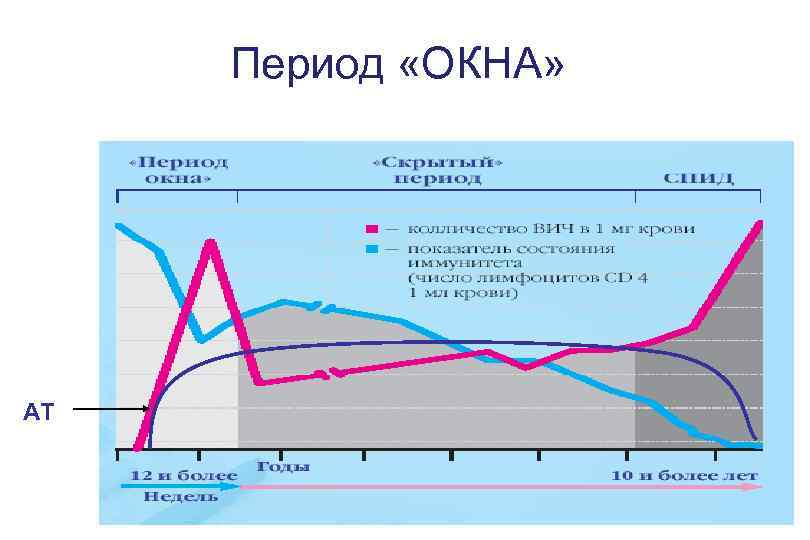 Период «ОКНА» АТ 