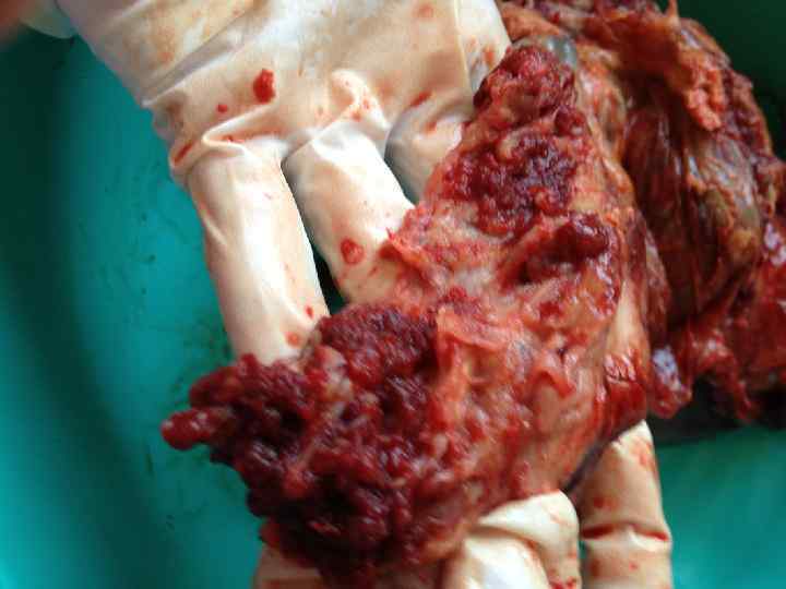 Спасибо за внимание 