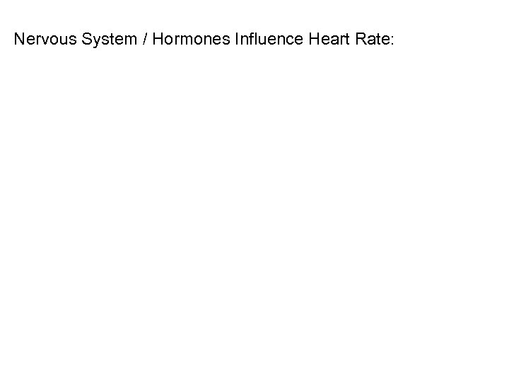 Nervous System / Hormones Influence Heart Rate: 