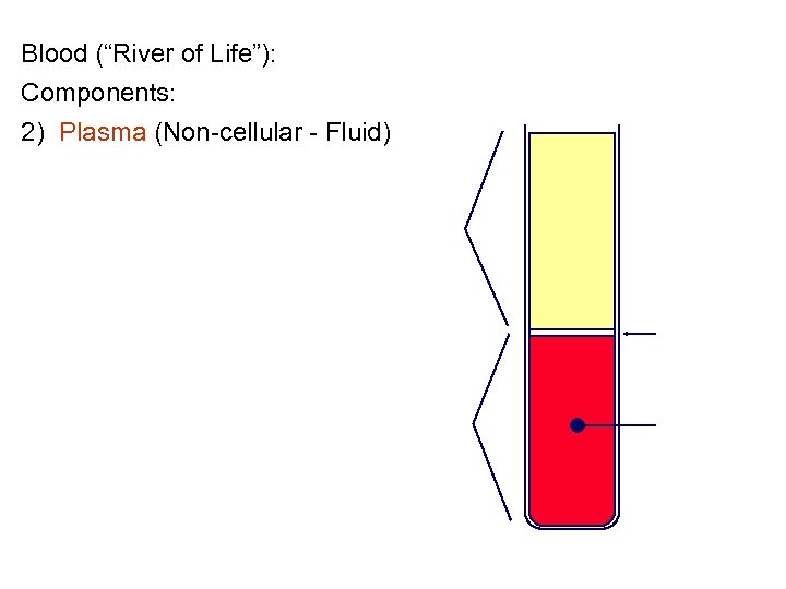 Blood (“River of Life”): Components: 2) Plasma (Non-cellular - Fluid) 