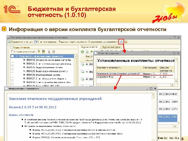Бюджетная и бухгалтерская отчетность (1. 0. 10) Информация о версии комплекта бухгалтерской отчетности 20
