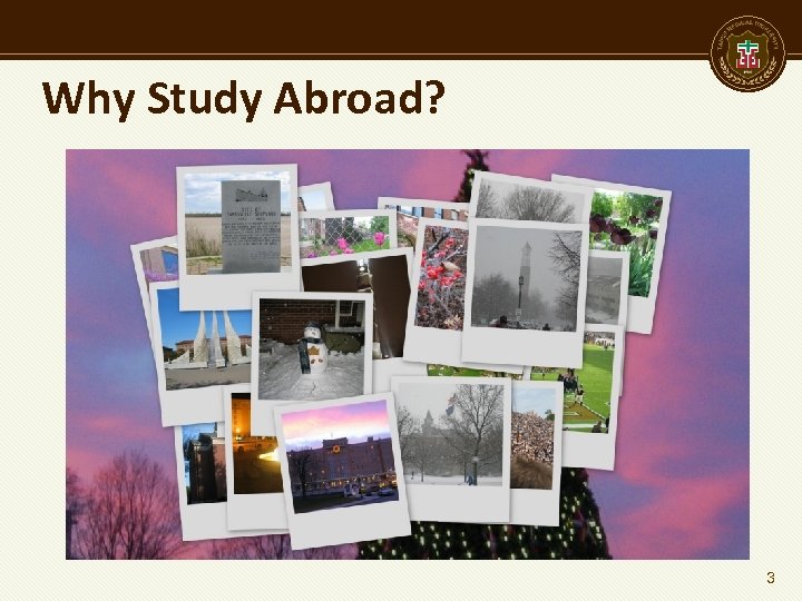 Why Study Abroad? 3 