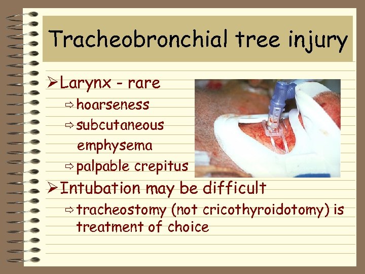 Tracheobronchial tree injury Ø Larynx - rare ð hoarseness ð subcutaneous emphysema ð palpable