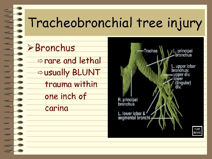 Tracheobronchial tree injury Ø Bronchus ð rare and lethal ð usually BLUNT trauma within