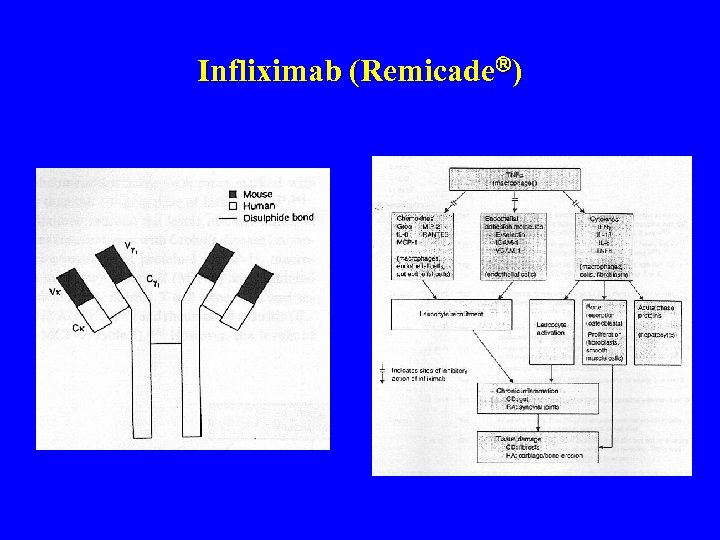 Infliximab (Remicade ) 