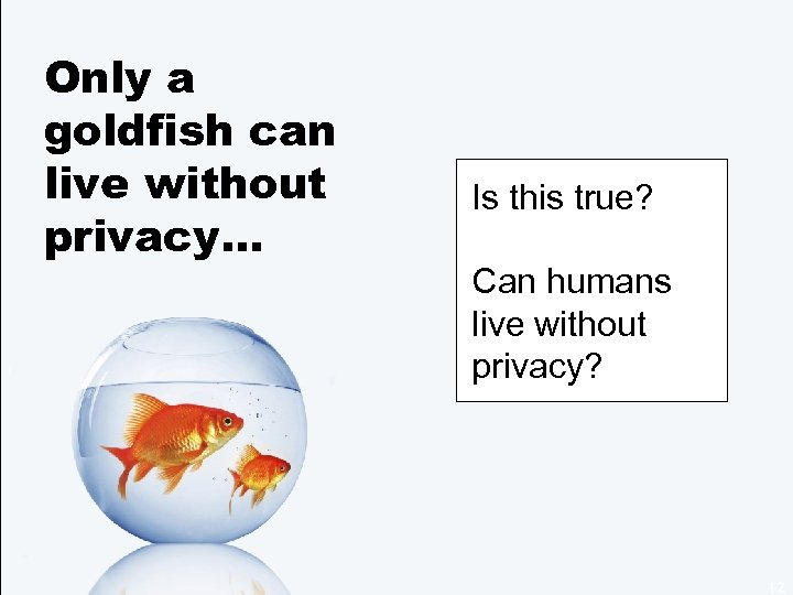 Only a goldfish can live without privacy… Is this true? Can humans live without