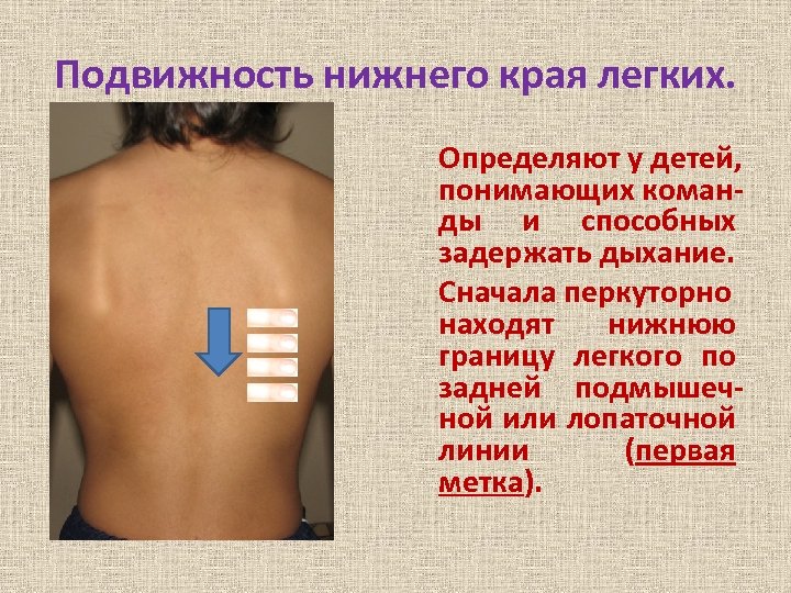 Подвижность нижнего края легких. Определяют у детей, понимающих команды и способных задержать дыхание. Сначала