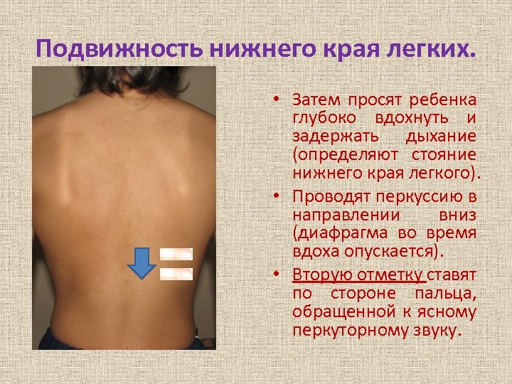 Подвижность нижнего края легких. • Затем просят ребенка глубоко вдохнуть и задержать дыхание (определяют