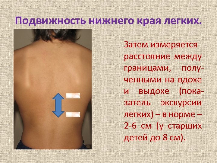 Подвижность нижнего края легких. Затем измеряется расстояние между границами, полученными на вдохе и выдохе