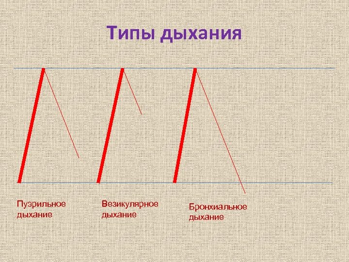 Графическое изображение дыхания