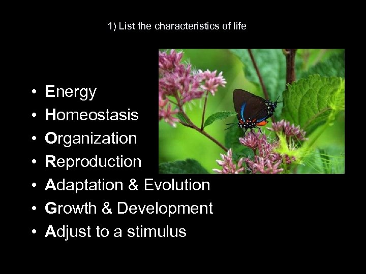 1) List the characteristics of life • • Energy Homeostasis Organization Reproduction Adaptation &