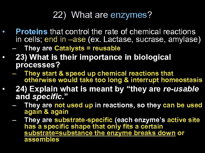 22) What are enzymes? • Proteins that control the rate of chemical reactions in