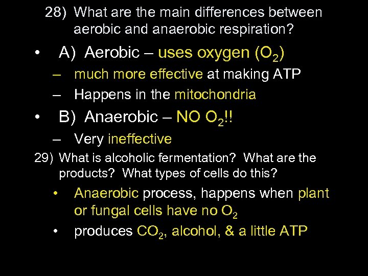 28) What are the main differences between aerobic and anaerobic respiration? • A) Aerobic