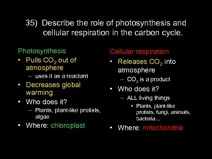 35) Describe the role of photosynthesis and cellular respiration in the carbon cycle. Photosynthesis