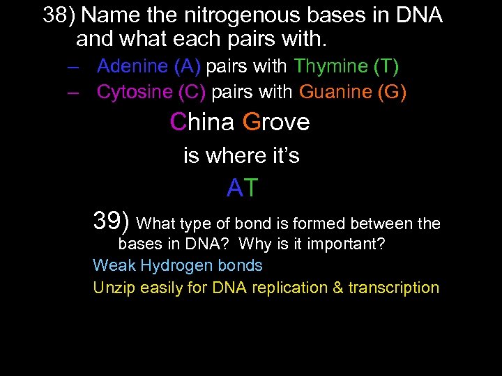 38) Name the nitrogenous bases in DNA and what each pairs with. – Adenine