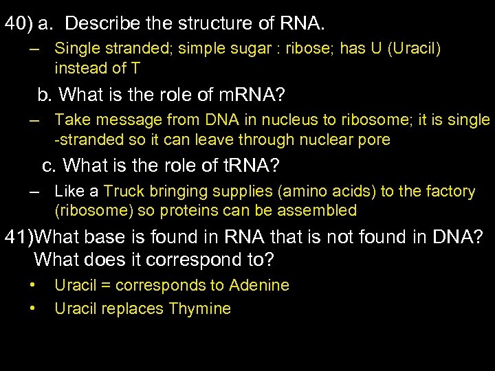 40) a. Describe the structure of RNA. – Single stranded; simple sugar : ribose;