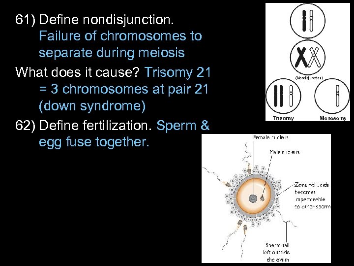 61) Define nondisjunction. Failure of chromosomes to separate during meiosis What does it cause?