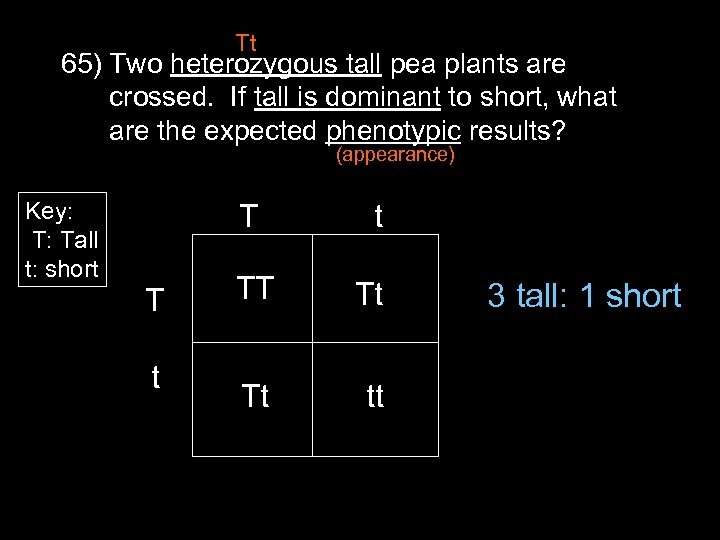 Tt 65) Two heterozygous tall pea plants are crossed. If tall is dominant to