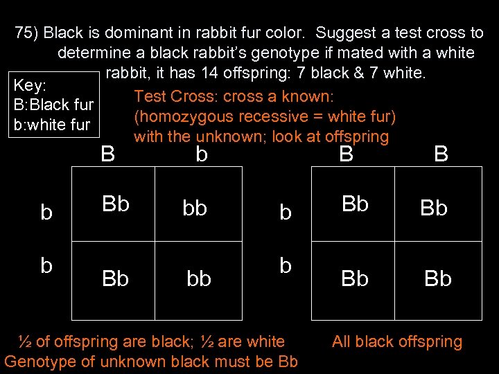 75) Black is dominant in rabbit fur color. Suggest a test cross to determine