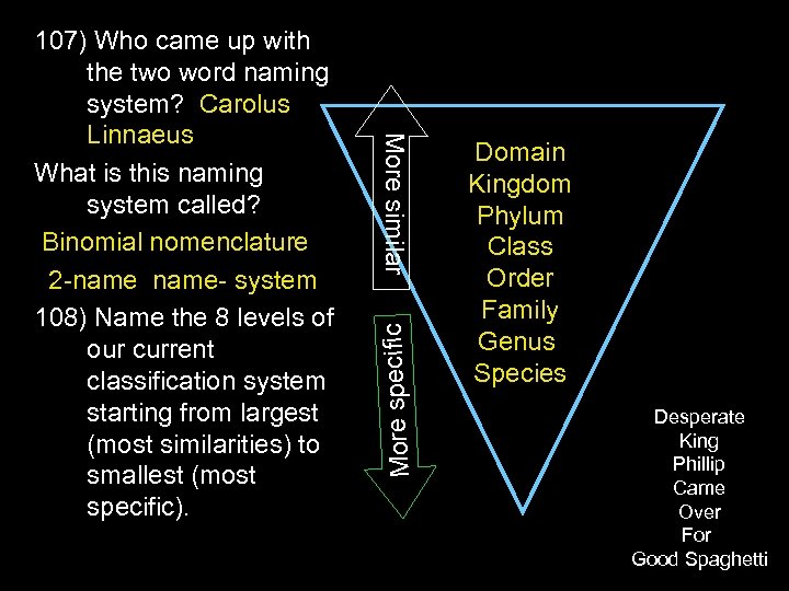 More specific More similar 107) Who came up with the two word naming system?