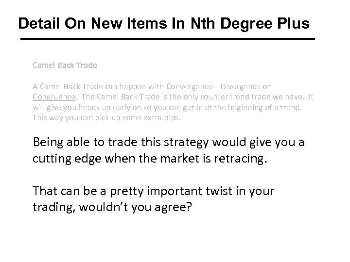 Detail On New Items In Nth Degree Plus Camel Back Trade A Camel Back