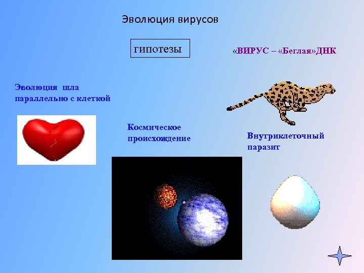 Эволюция вирусов гипотезы «ВИРУС – «Беглая» ДНК Эволюция шла параллельно с клеткой Космическое происхождение