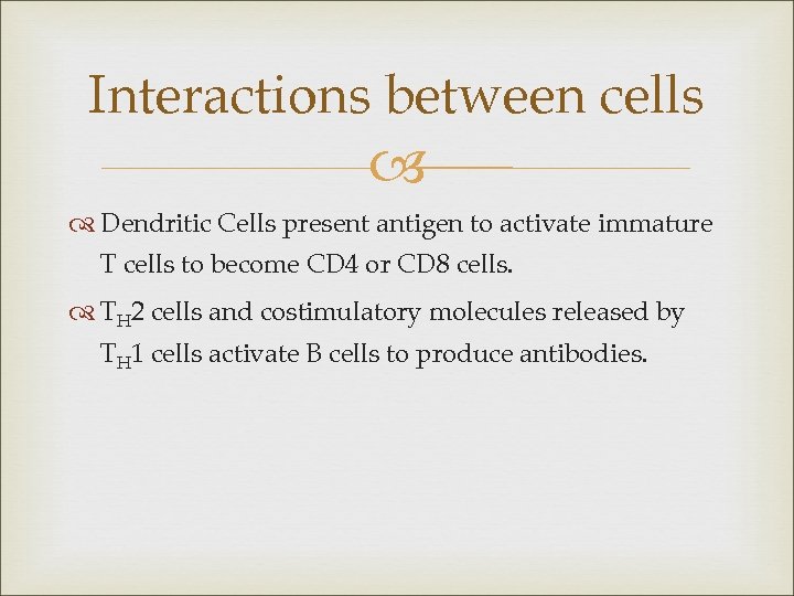 Interactions between cells Dendritic Cells present antigen to activate immature T cells to become